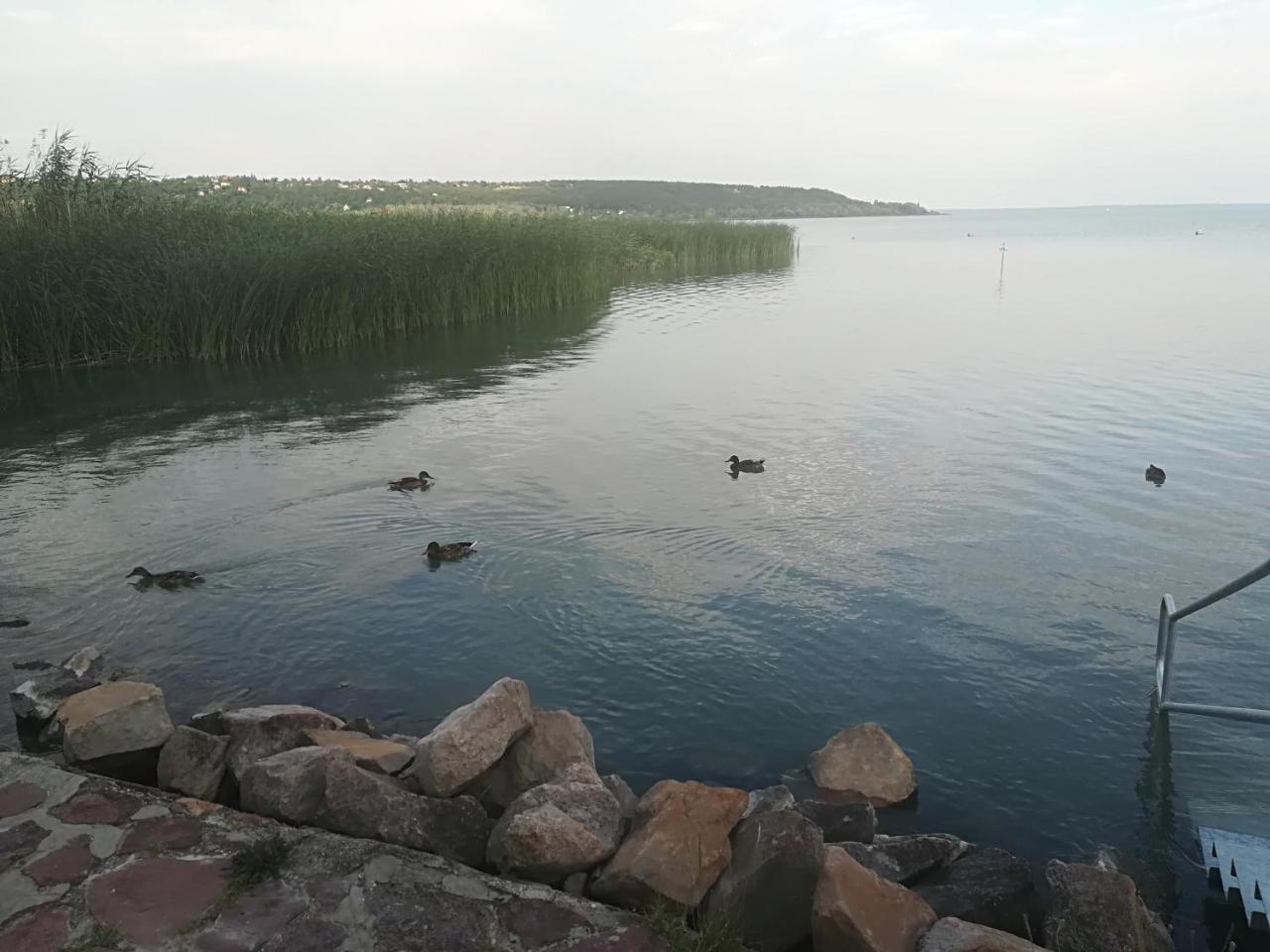 Betty Apartman Balatonfůzfő Екстериор снимка